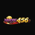 WGS456 Game