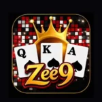 ZEE9 Game