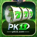 PK11 Game