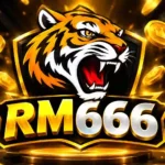 RM666 Game